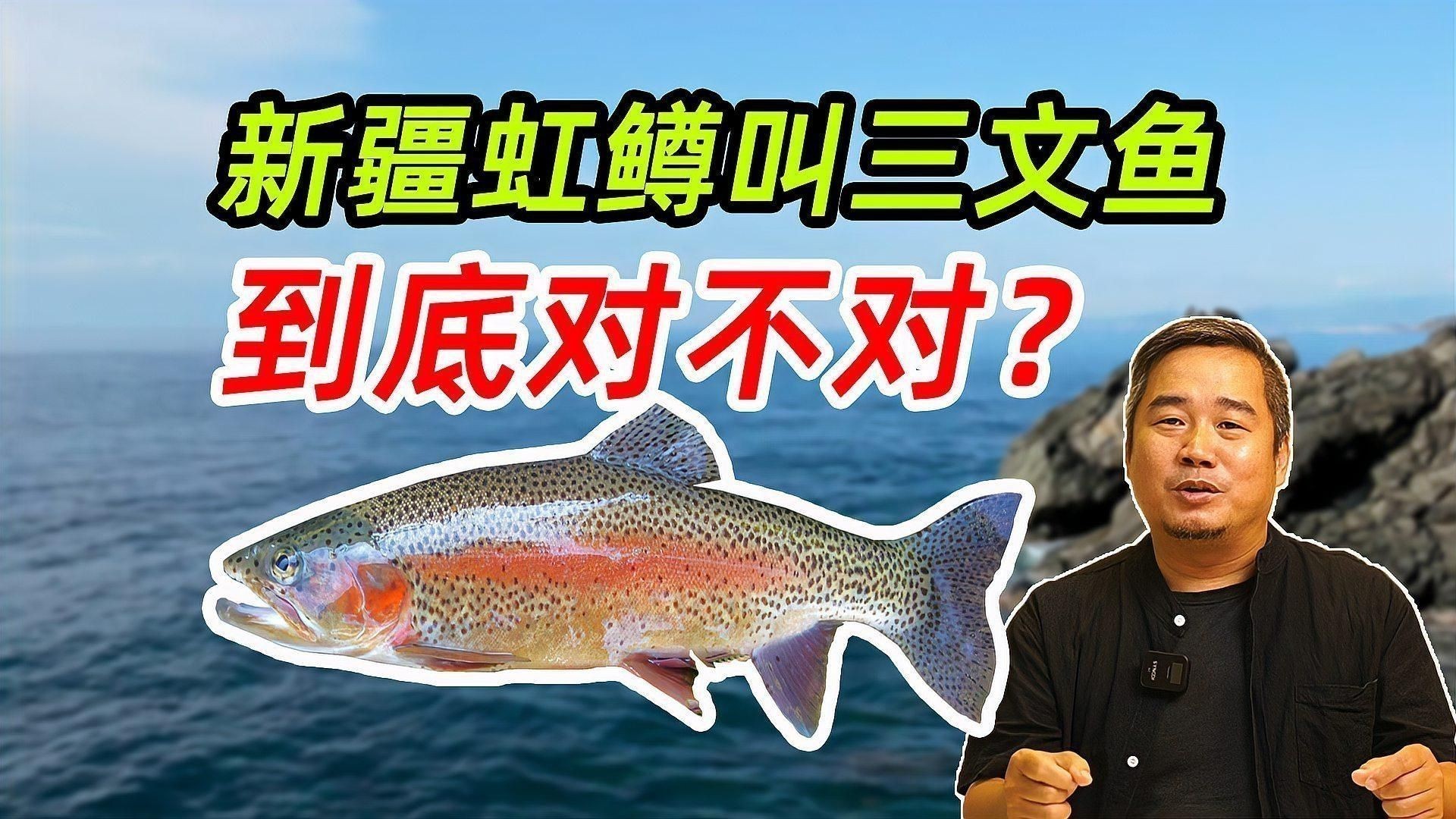哪種三紋魚好吃 哪種三紋魚好吃 龍魚百科 第5張