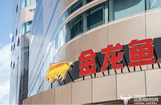 金龍魚管理層名單王鵬飛 金龍魚管理層名單王鵬飛 龍魚百科 第2張
