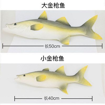 金龍魚和金槍魚一樣嗎：金龍魚和金槍魚一樣嗎金龍魚和金槍魚一樣嗎