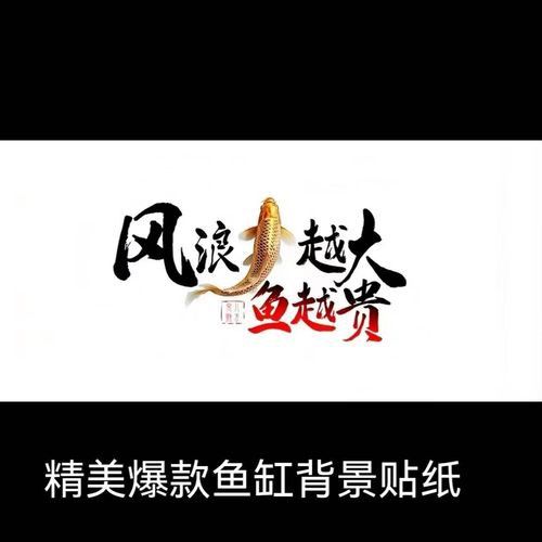 推薦一些紅龍魚屏保壁紙