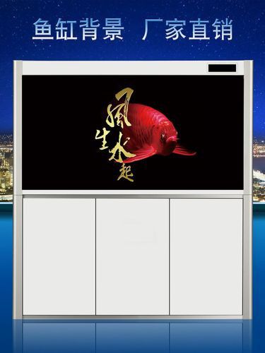 推薦一些紅龍魚屏保壁紙