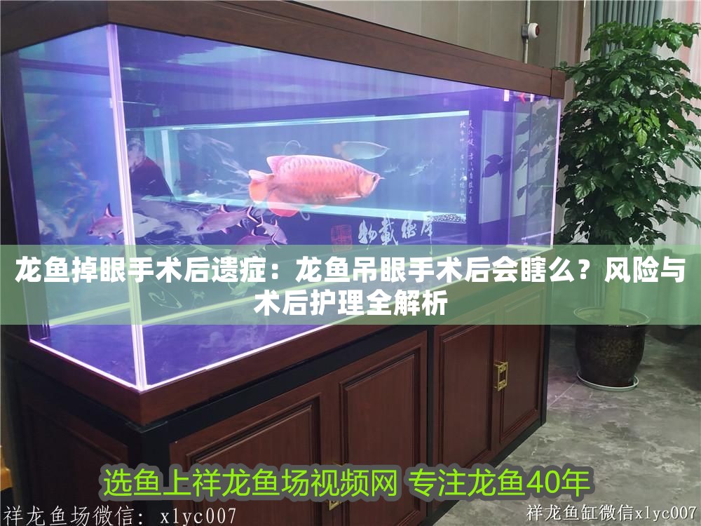 龍魚掉眼手術后遺癥：龍魚吊眼手術后會瞎么？風險與術后護理全解析