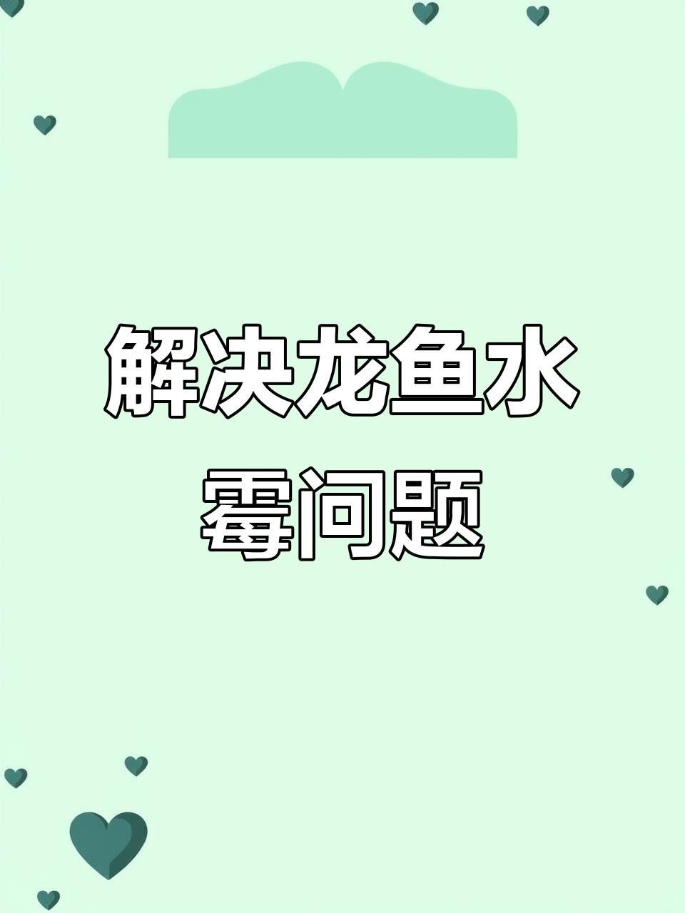 如何預防銀龍魚水霉病? 龍魚百科 第2張 如何預防銀龍魚水霉病? 如何預防銀龍魚水霉病? 龍魚百科 第2張