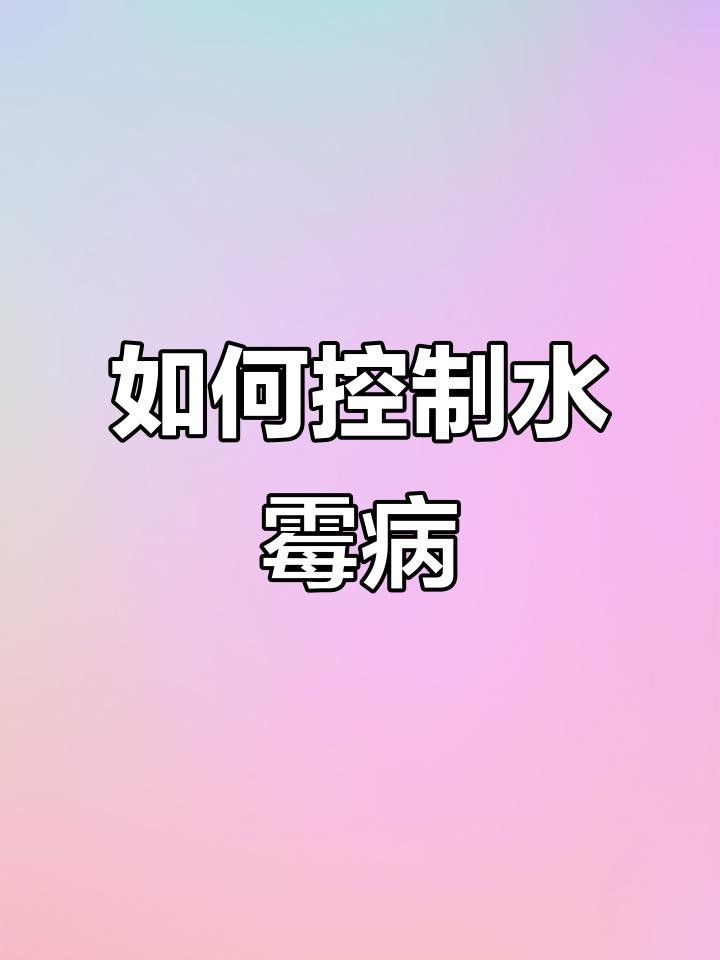 如何預防銀龍魚水霉病？ 如何預防銀龍魚水霉病？ 龍魚百科 第8張