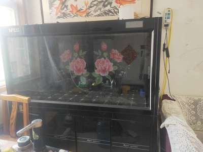 58同城賣二手龍魚怎么樣：58同城賣二手龍魚58同城賣二手龍魚平臺流程