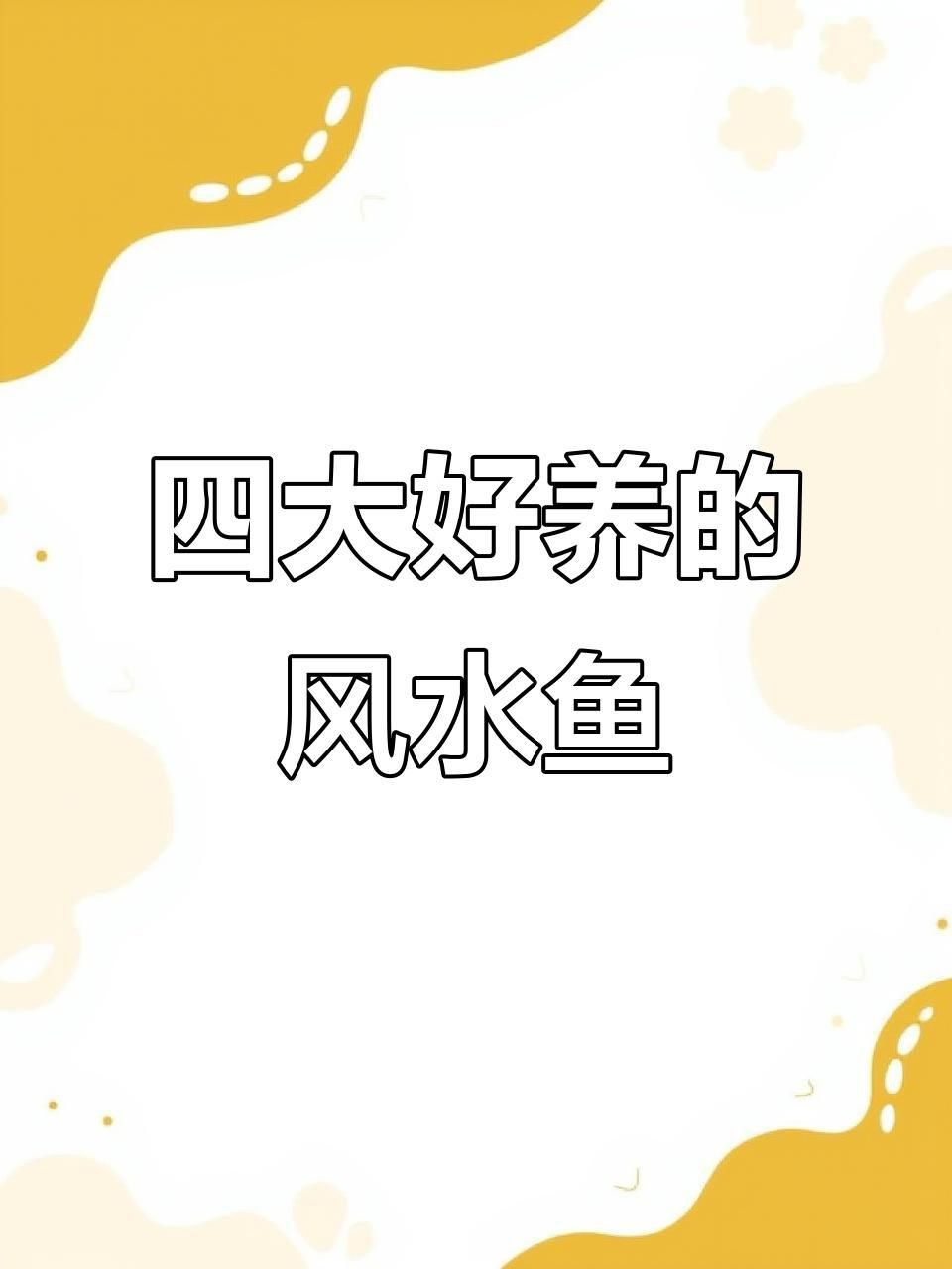 能否提供更多風水魚品種？