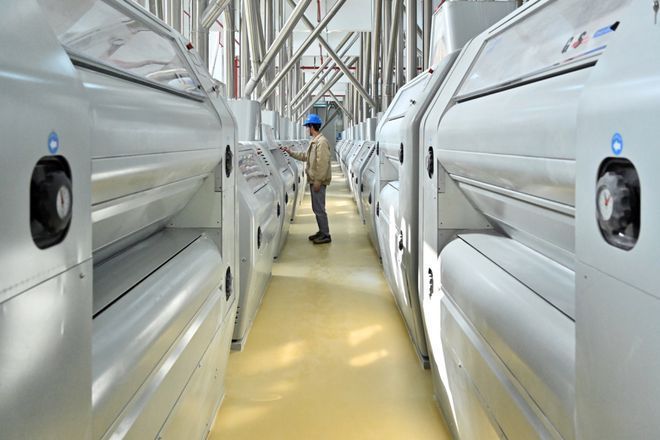 金龍魚杭州工廠地址（金龍魚杭州工廠地址為杭州市江干區(qū)九堡街道占地面積約10萬平方米）