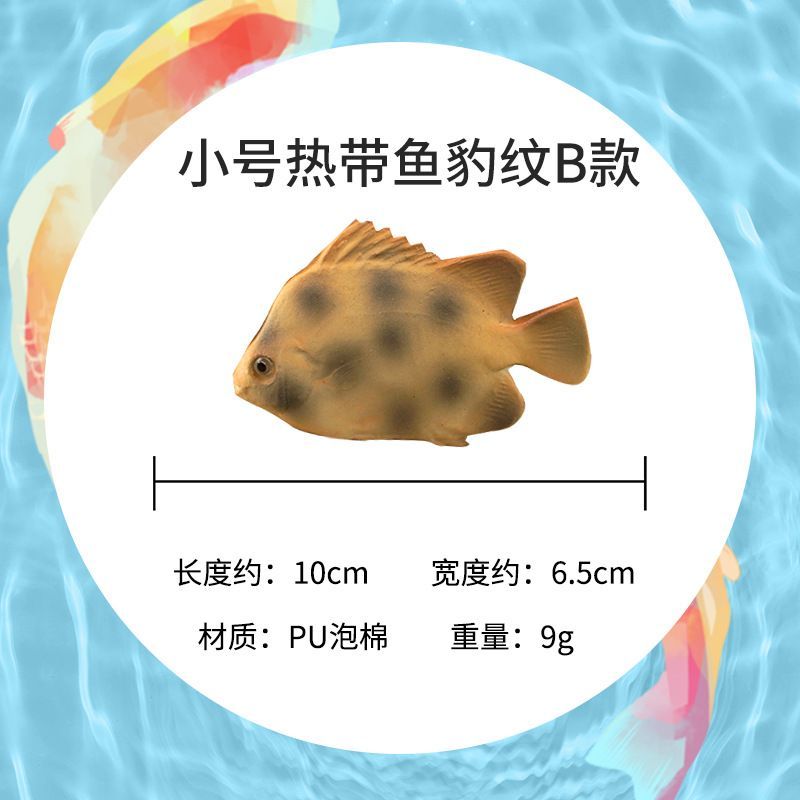 金龍魚翹嘴是為什么：金龍魚翹嘴可能是遺傳特征，