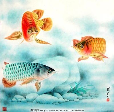國(guó)畫金龍魚的畫法（國(guó)畫金龍魚的畫法步驟）