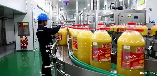 金龍魚為什么不能賣 金龍魚為什么不能賣 龍魚百科 第2張