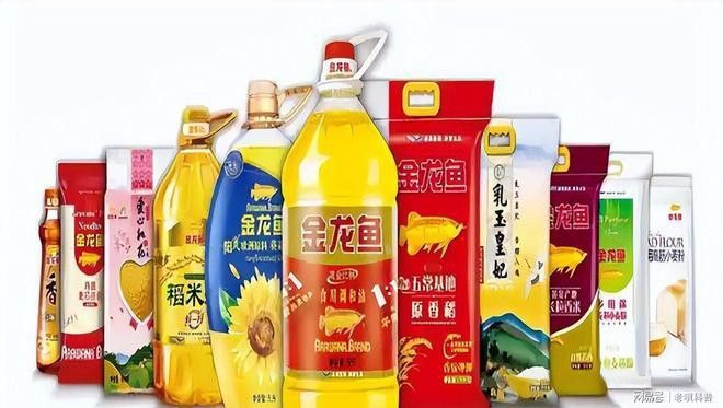 金龍魚為什么不能賣 金龍魚為什么不能賣 龍魚百科 第1張