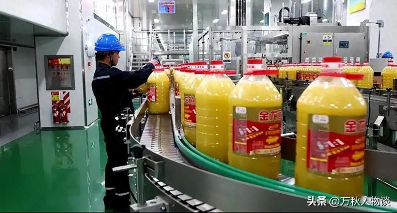 金龍魚為什么不能賣 金龍魚為什么不能賣 龍魚百科 第4張