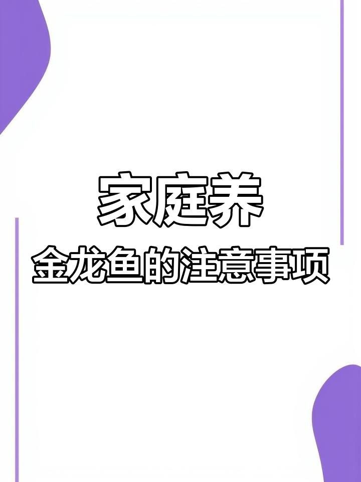 如何預(yù)防金龍魚疾病？ 如何預(yù)防金龍魚疾病？ 龍魚百科 第4張