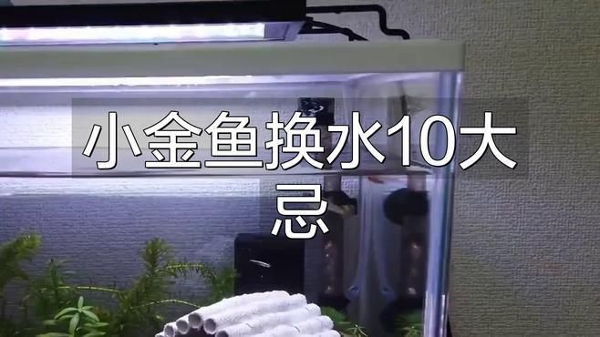 金魚受傷后多久換一次水？