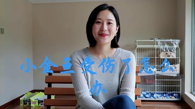 金魚受傷后多久換一次水？