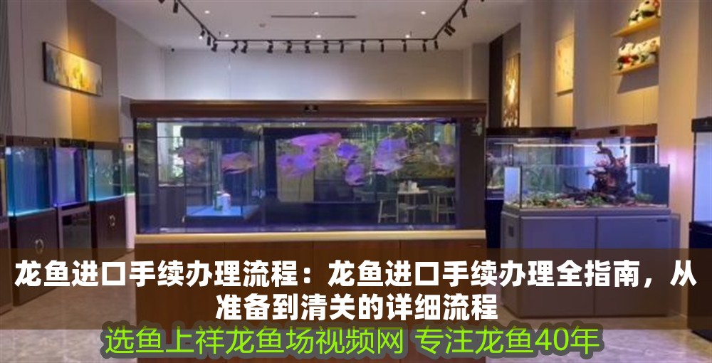 龍魚進口手續辦理流程：龍魚進口手續辦理全指南，從準備到清關的詳細流程