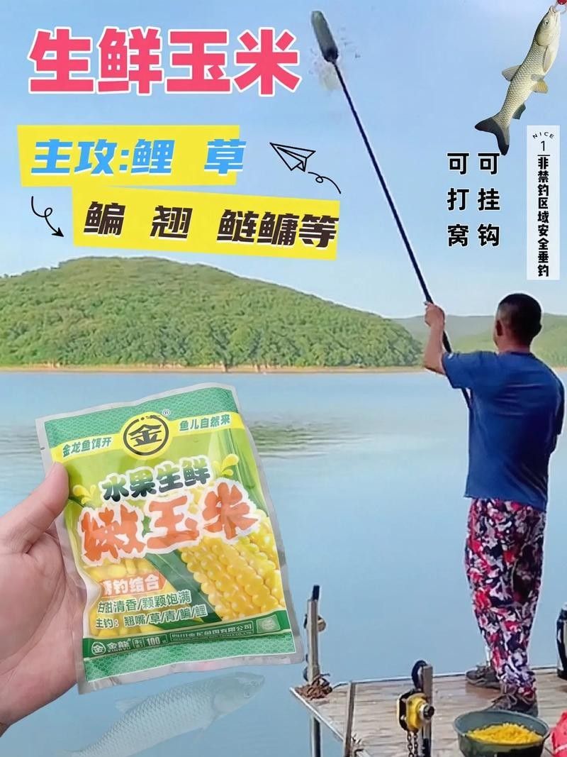 金龍魚餌料玉米
