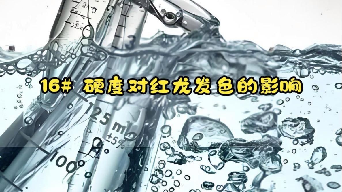 紅龍魚變色原因探究