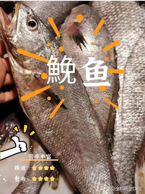 鮸魚圖片