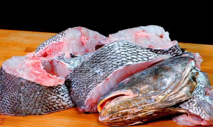 鮸魚圖片