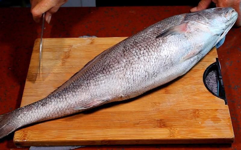 鮸魚圖片