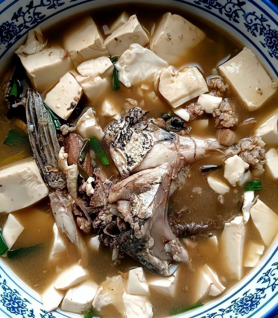 鮸魚圖片