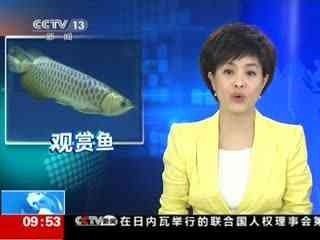 龍魚頭發(fā)綠：龍魚頭發(fā)綠可能是由于多種原因造成的