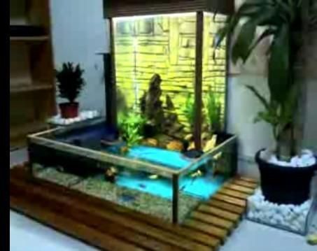 負(fù)壓魚缸圖片大全集（instagram負(fù)壓魚缸設(shè)計圖欣賞負(fù)壓魚缸實物高清圖）
