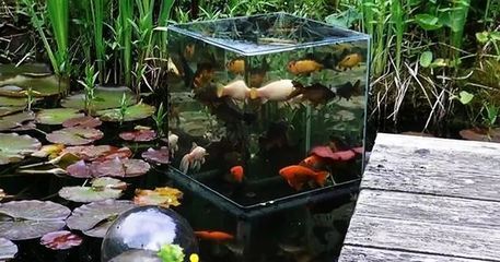 負(fù)壓魚缸圖片大全集（instagram負(fù)壓魚缸設(shè)計圖欣賞負(fù)壓魚缸實物高清圖）
