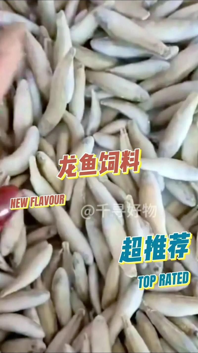 龍魚掉眼是怎么造成的圖片