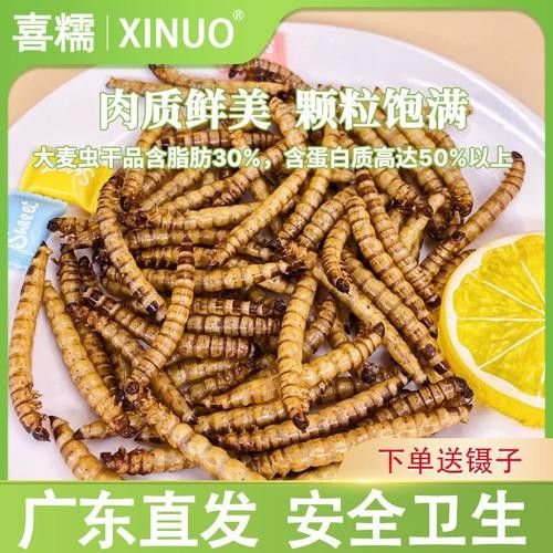 龍魚掉眼是怎么造成的圖片