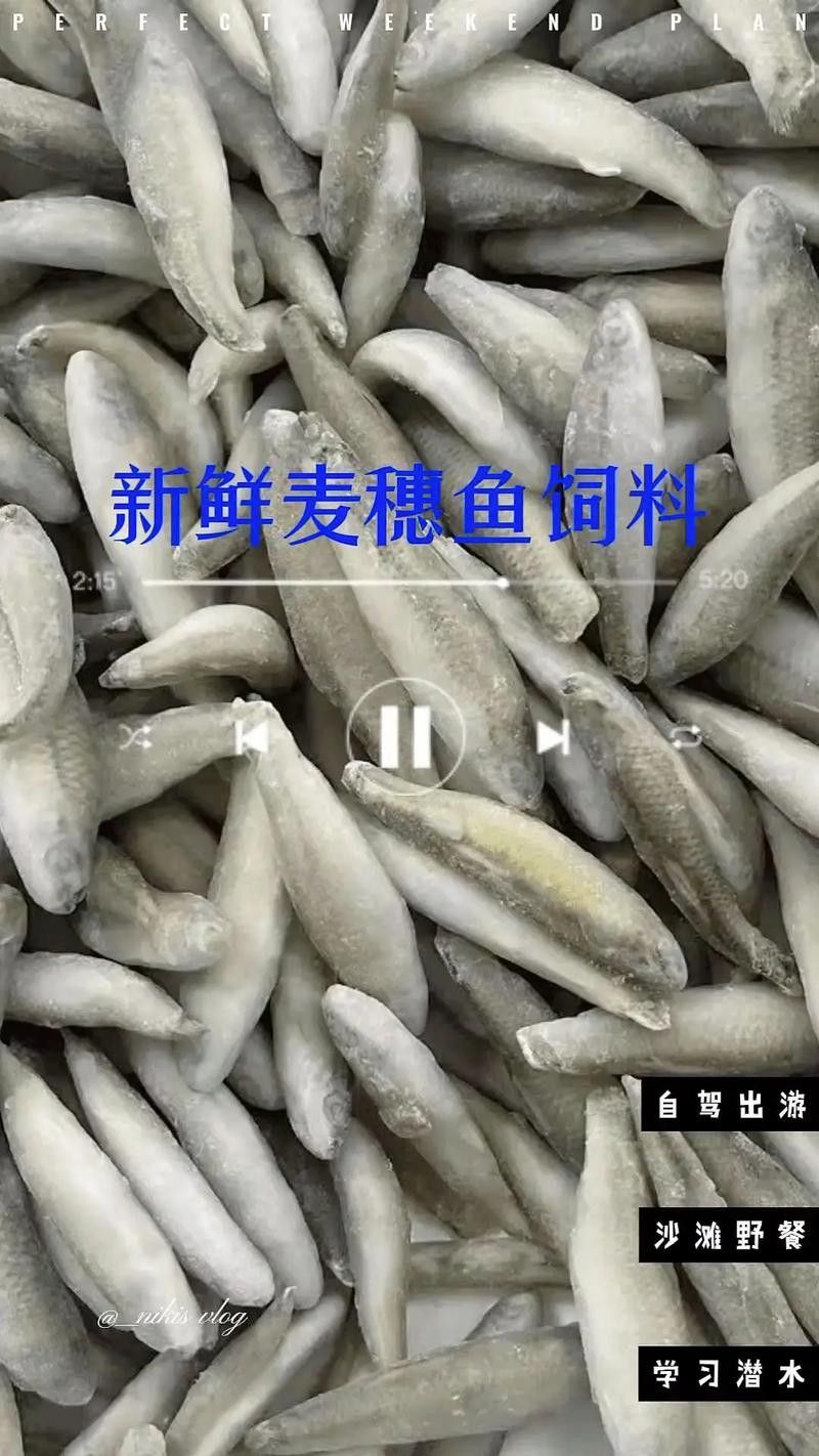 龍魚掉眼是怎么造成的圖片