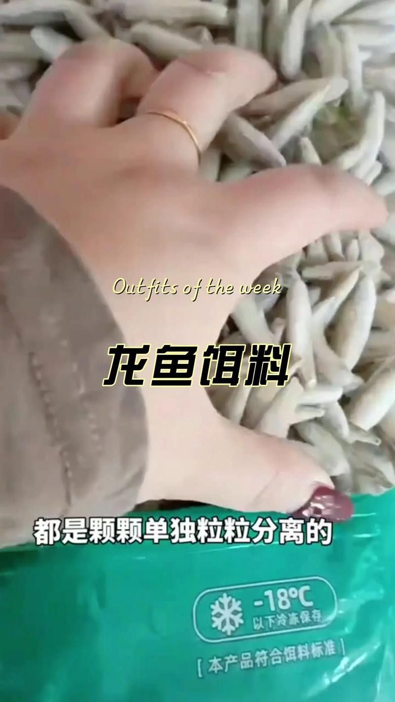 龍魚掉眼是怎么造成的圖片