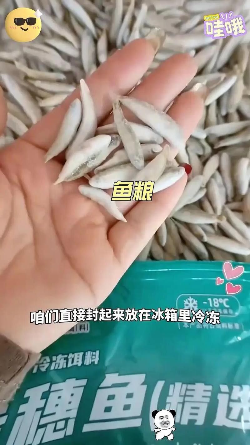 龍魚掉眼是怎么造成的圖片