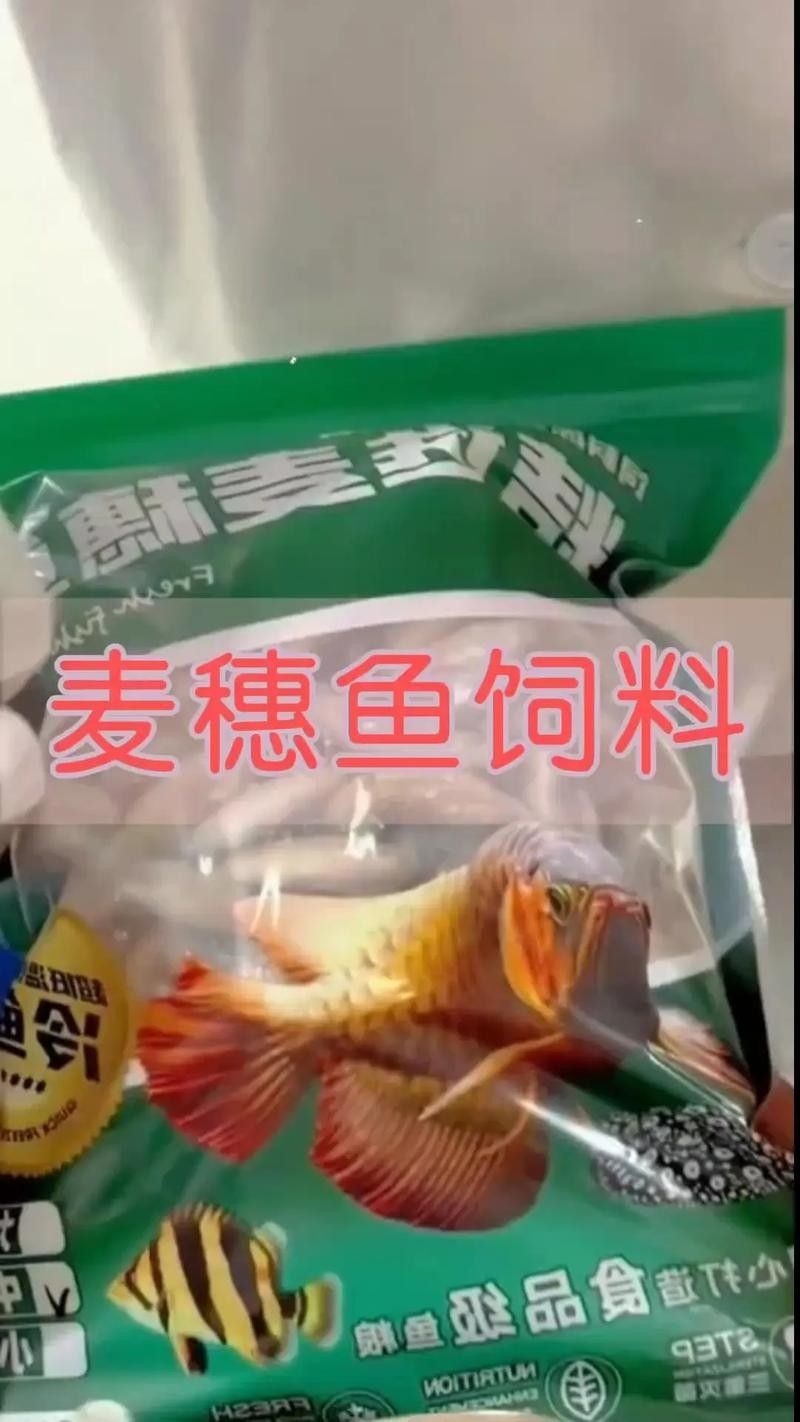 龍魚掉眼是怎么造成的圖片
