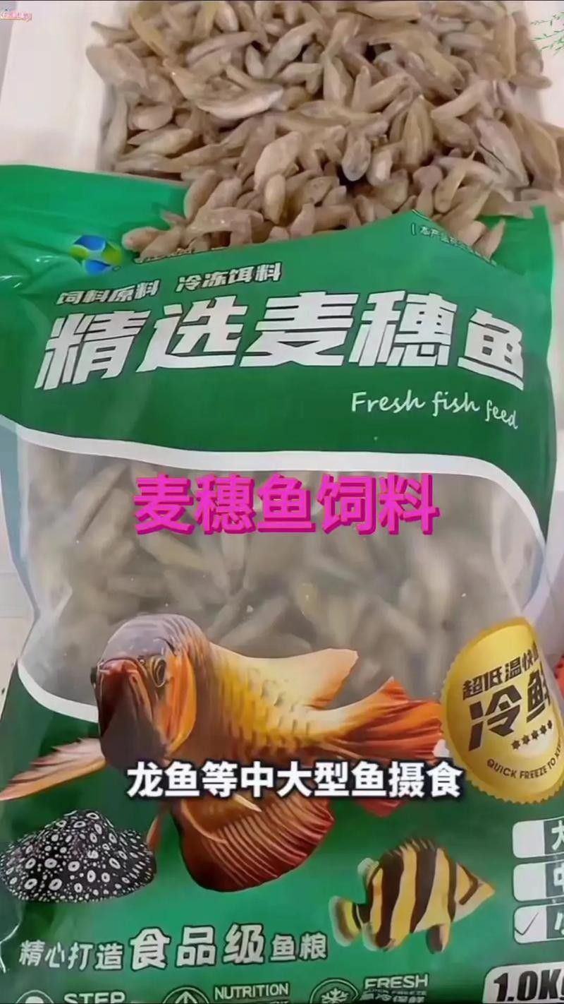 龍魚掉眼是怎么造成的圖片