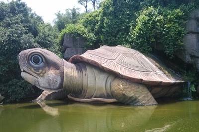 龍魚神龜傳說在線觀看高清：關于龍魚神龜傳說在線觀看高清的問題