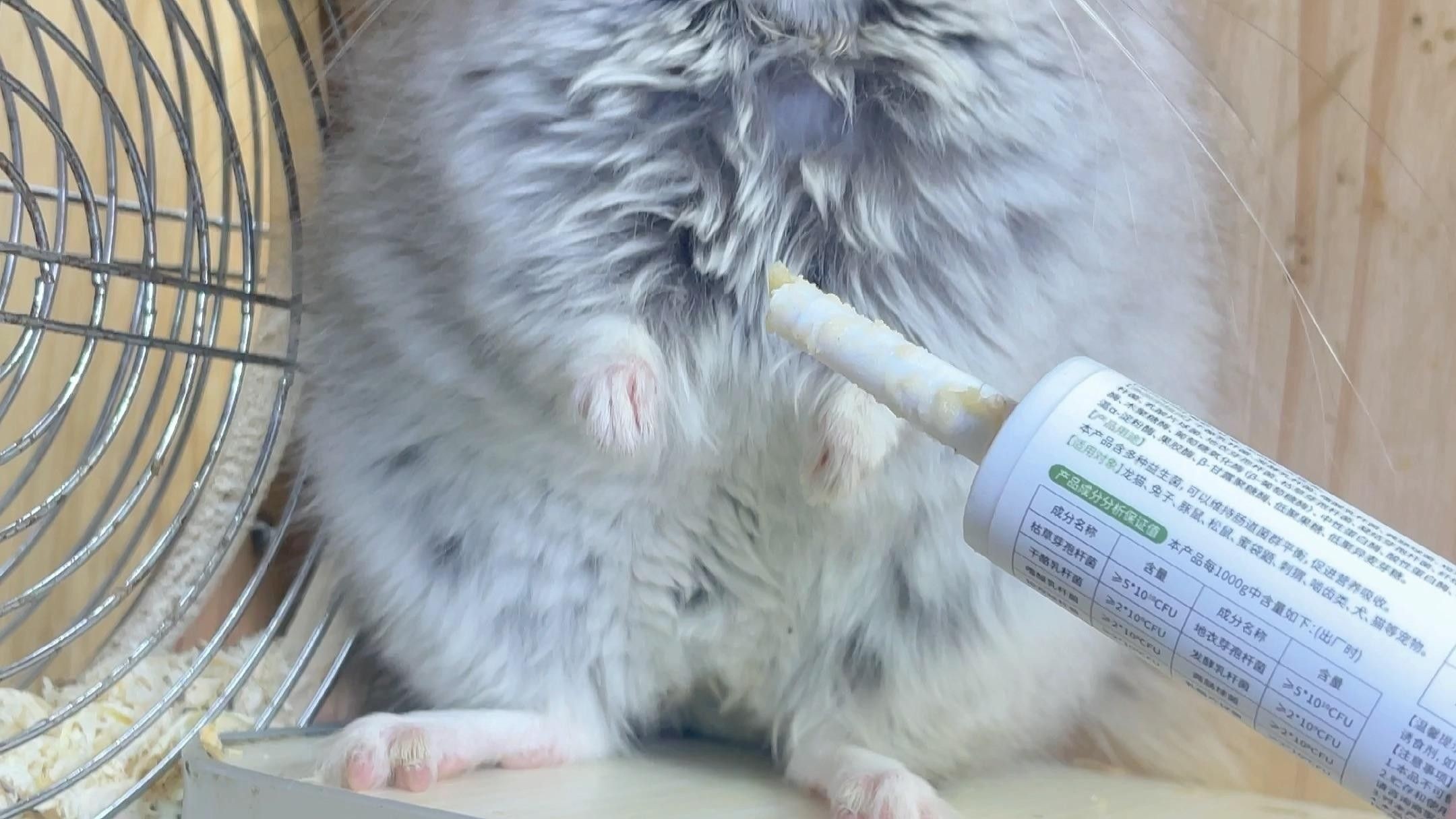 龍貓換糧后軟便怎么辦？