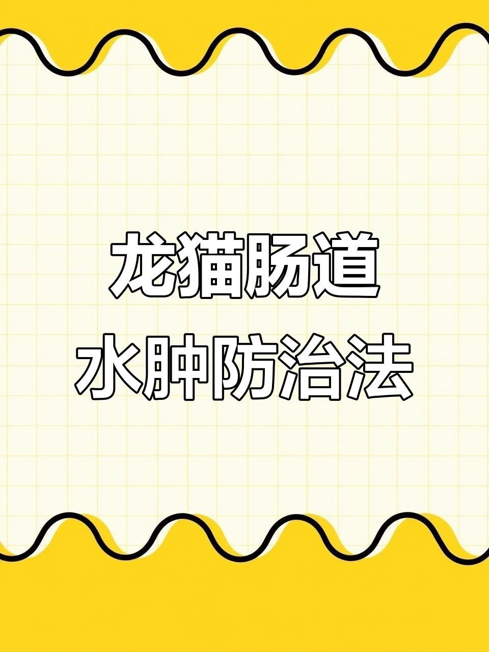 龍貓換糧后軟便怎么辦？