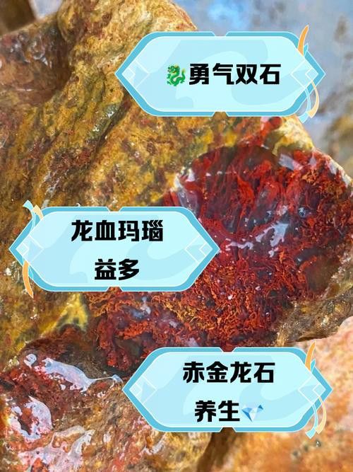 赤血紅龍石有哪些收藏價值？
