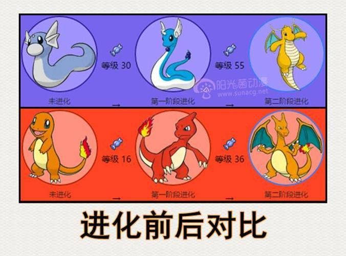 還有哪些養龍小說值得推薦？