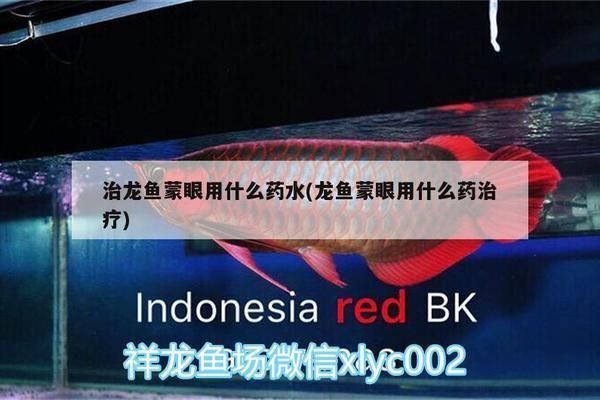 龍魚蒙眼用什么藥最好（龍魚蒙眼治療后注意事項，龍魚蒙眼與水質關系探究）