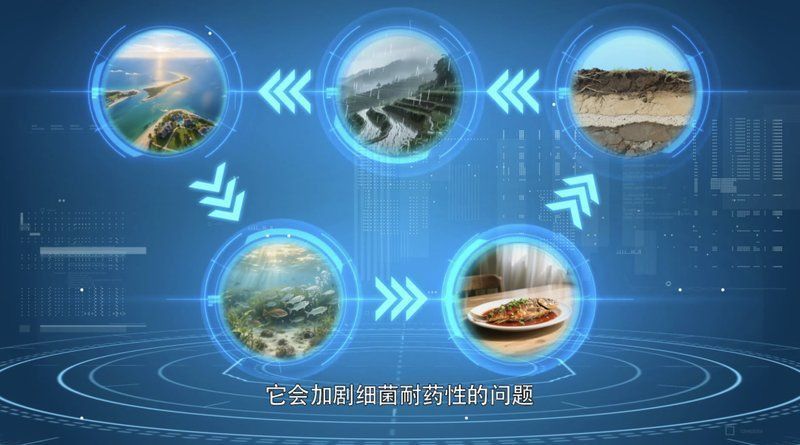 金元寶魚為何要盡量少吃