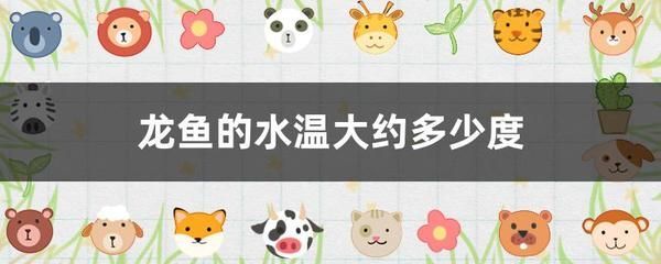 龍魚水缸溫度：龍魚換水注意事項，龍魚水溫調(diào)控技巧,熱帶魚水溫波動影響