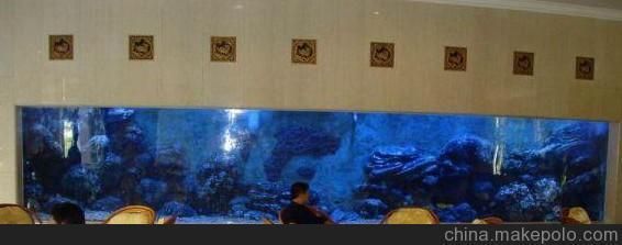 金龍魚是哪個國家的品牌好（金龍魚是哪個國家的品牌好吃）