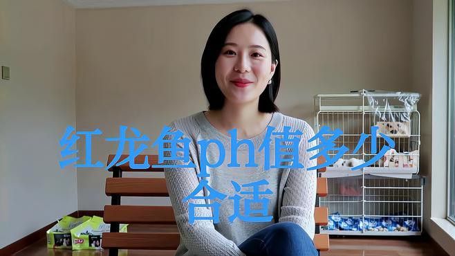 紅龍魚水質(zhì)要求高嗎