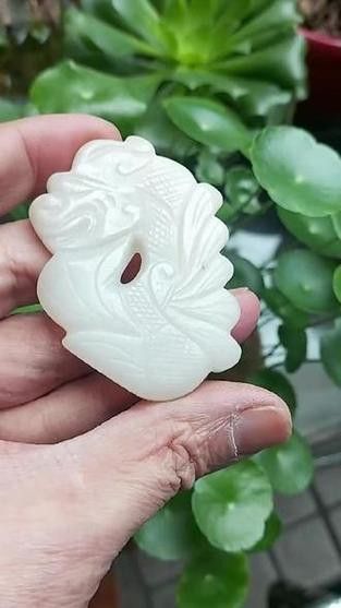 化骨龍魚圖片欣賞大全