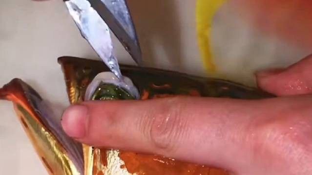 金龍魚為什么要美容養護