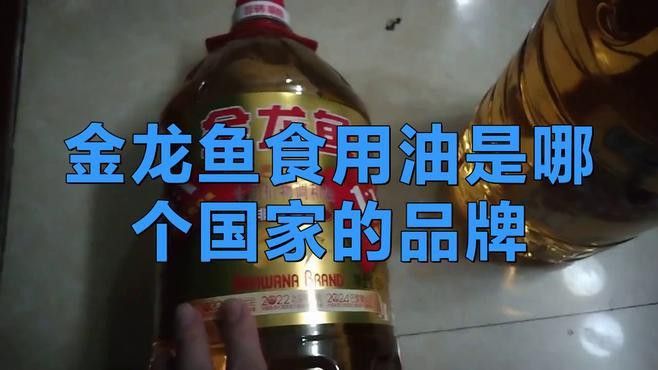 金龍魚品牌為什么叫金龍魚
