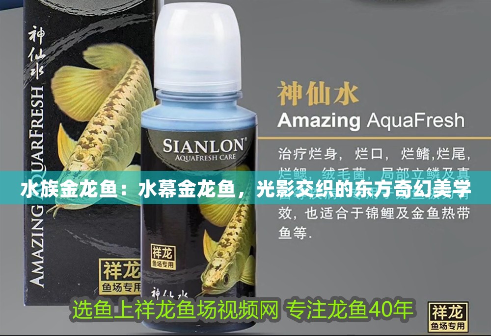 水族金龍魚：水幕金龍魚，光影交織的東方奇幻美學